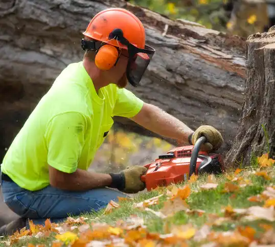 tree services Huntley